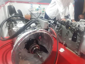 آریا یدک دانگ فنگ کاوه