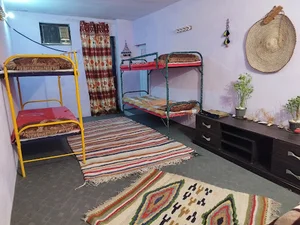 بوم گردی سورنا