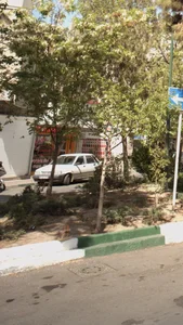 مسکن سعید 2
