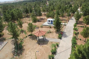 بوستان کاجستان