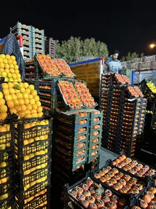 بارفروشی حاج علی عباسی و پسران