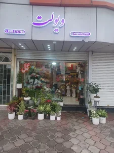 گل فروشی ویولت 2