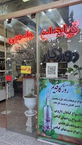 قهوه سرای کلبه تلخ