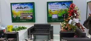 هلدینگ پارس یزد
