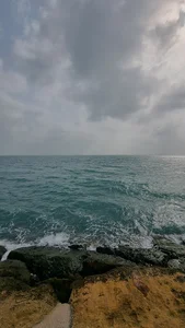 ساحل تنگو