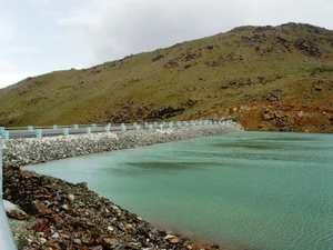 لبنیات محلی سالاری