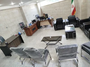 بیمه دانا
