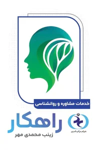 زینب محمدی مهر 2