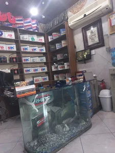 جهان باطری