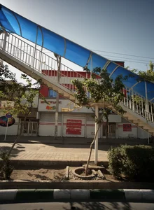 موبایل امیر