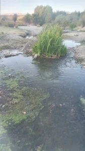 سراب چم فراغ