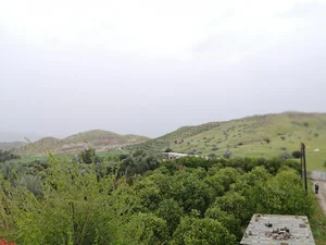 باغ مرکبات برادران باهوش