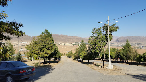 نهالستان منابع طبیعی بام