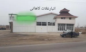 علی