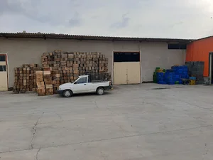 بازار خرما شهرستان شادگان