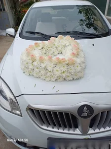 گل و گیاه نیری 3