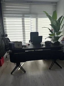 پاکیزه کاران پارسیان