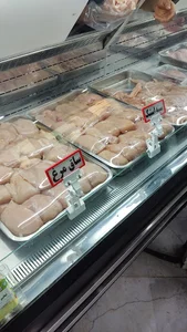 دهکده پروتئین طیور شرق