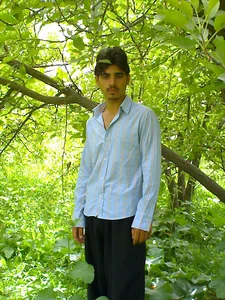 باغ پیمان مرادیان