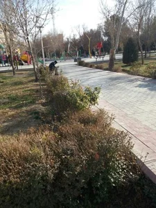 پارک پروین اعتصامی 4