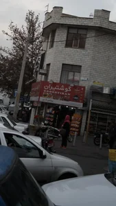 پروتئین کن 2