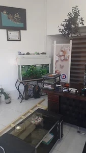 بیمه سامان نمایندگی قربانی