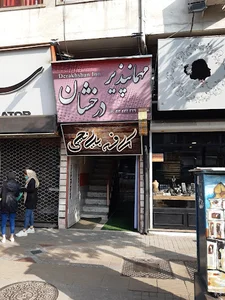 مهمانپذیر درخشان