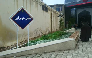 محفل نیلوفر آبی