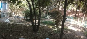 پارک یادآوران 5