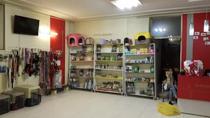 درمانگاه دامپزشکی گلستان