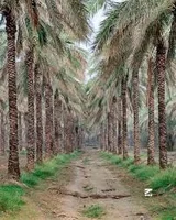 مرکز تایپ تموکن آبپخش