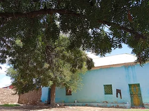 Hamur