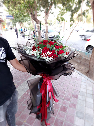 گفروشی شقایق