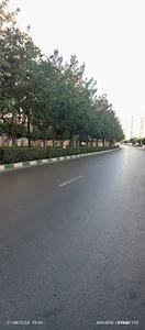 دبستان شاهد ۲۴