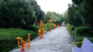 بوستان جنگلی شاهد