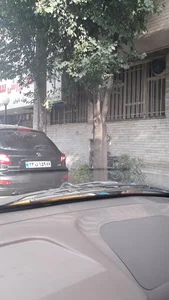 باشگاه ورزشی سیمرغ (ویژه بانوان)