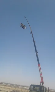 جرثقیل خرسند