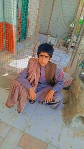رستوران و کافه کلبه چوبی