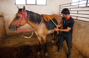 باشگاه اسب سواری فرهودیه
