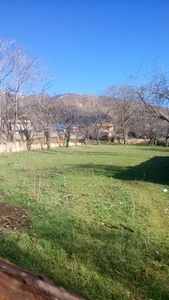 مسجد ابوذر