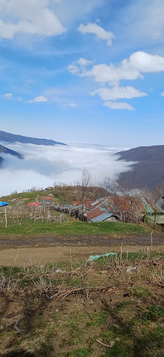 اسب‌ریسه