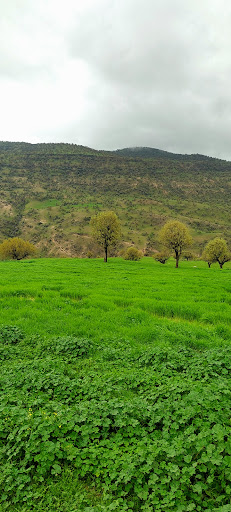 سالن زیبایی خانومی