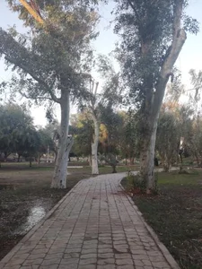 پارک ساحلی کیانپارس اهواز 5