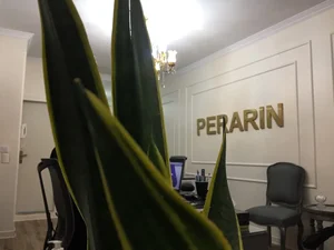 خودرو پرارین نوین 2