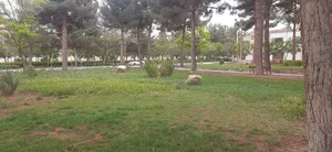 فضای سبز 2