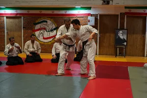 آی کی دو کالج