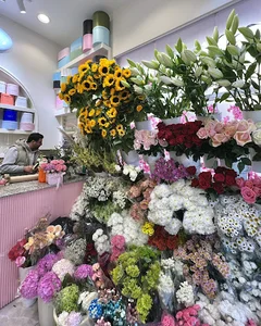 Avin Flower گل آوین