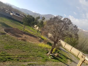 قلعه صمصام‌السلطنه بختیاری