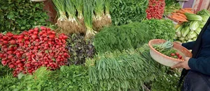 سبزی فروشی خدادادی