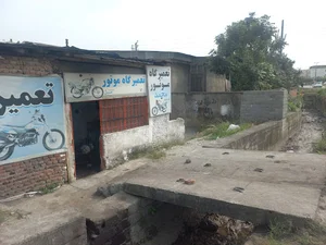 کلینیک حیوانات خانگی تهران
